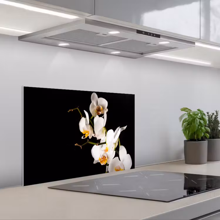 Spatscherm keuken - Contrastrijke Orchideeën — 5