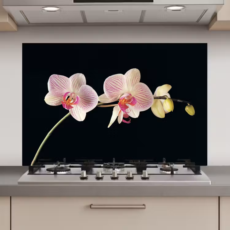 Spatscherm keuken - Gestreepte Orchideeën Elegantie — 1