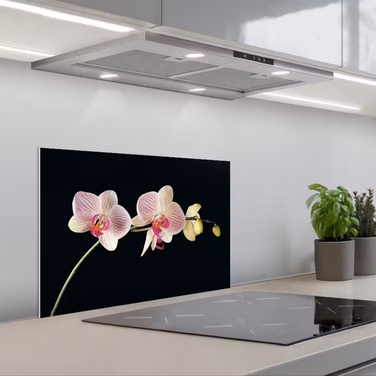 Spatscherm keuken - Gestreepte Orchideeën Elegantie — 5