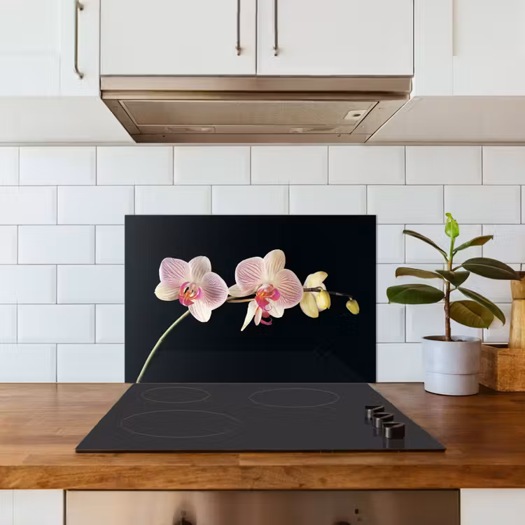 Spatscherm keuken - Gestreepte Orchideeën Elegantie — 6