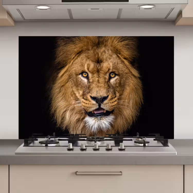 Spatscherm keuken - Leeuw - Portret - Zwart - Dieren — 1