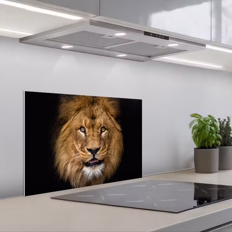 Spatscherm keuken - Leeuw - Portret - Zwart - Dieren — 5