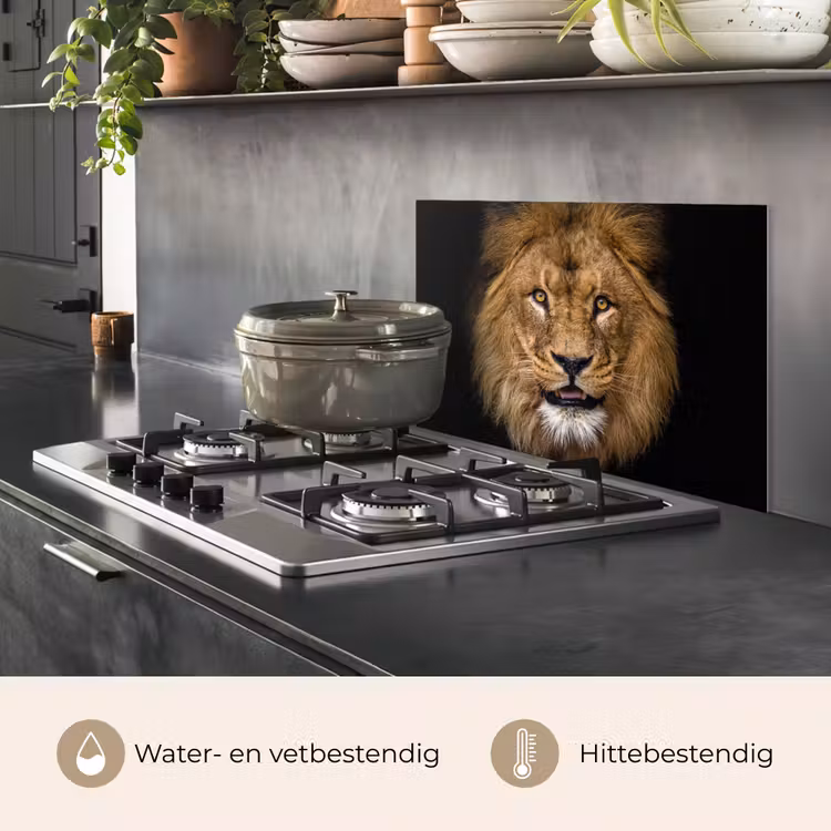 Spatscherm keuken - Leeuw - Portret - Zwart - Dieren — 7