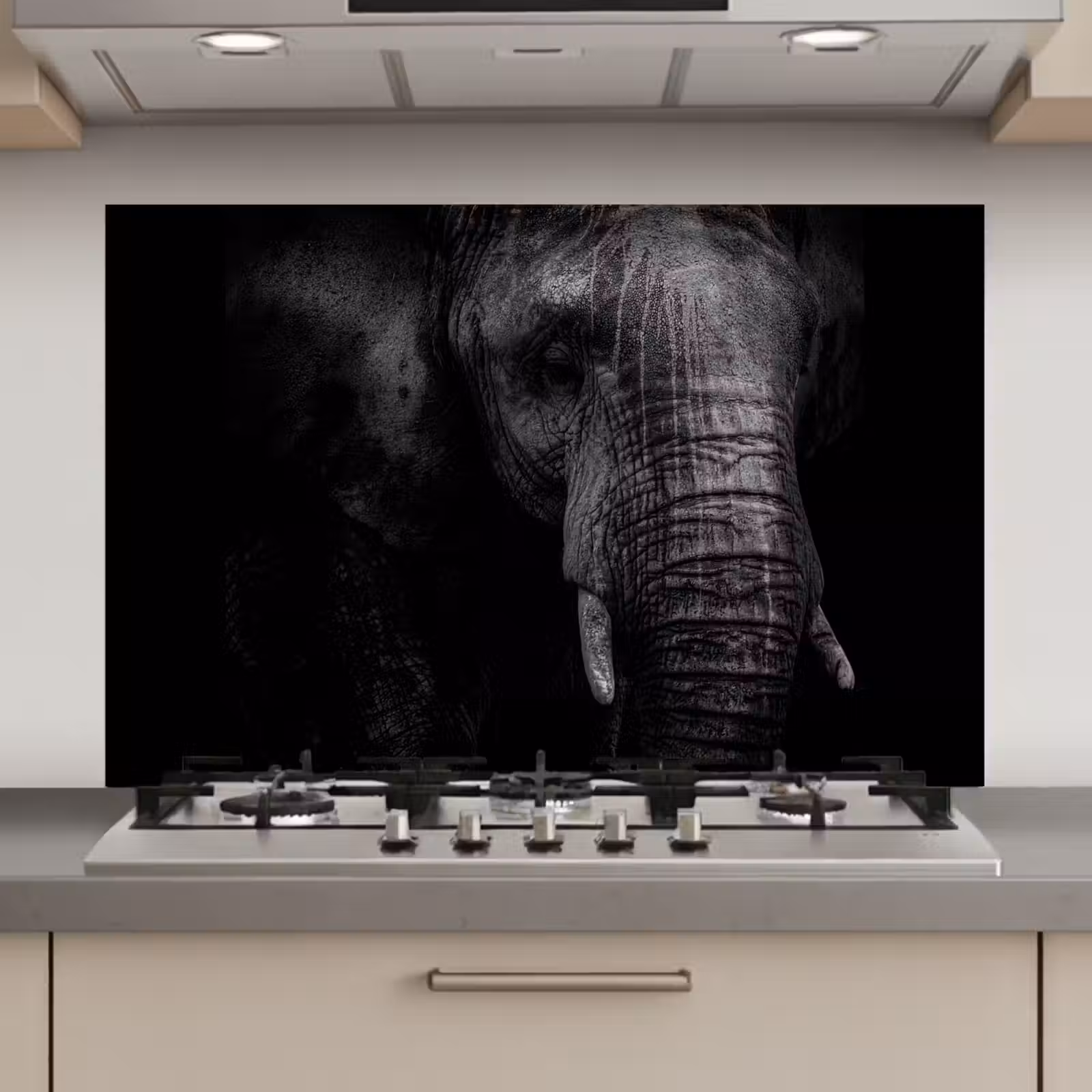 Spatscherm keuken - Olifant - Dier - Portret — 1