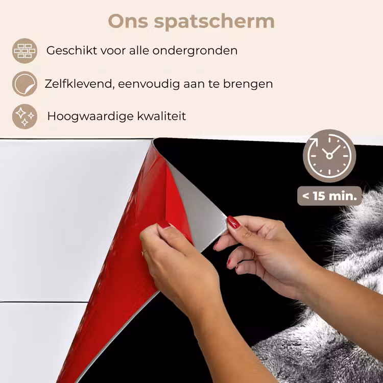 Spatscherm keuken - Leeuw tegen zwarte achtergrond in zwart-wit — 4