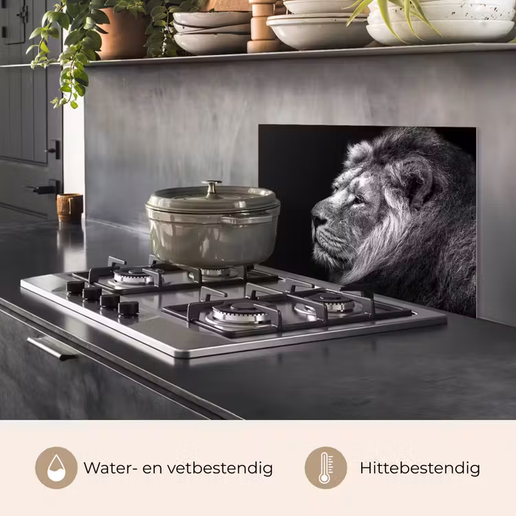 Spatscherm keuken - Leeuw tegen zwarte achtergrond in zwart-wit — 7