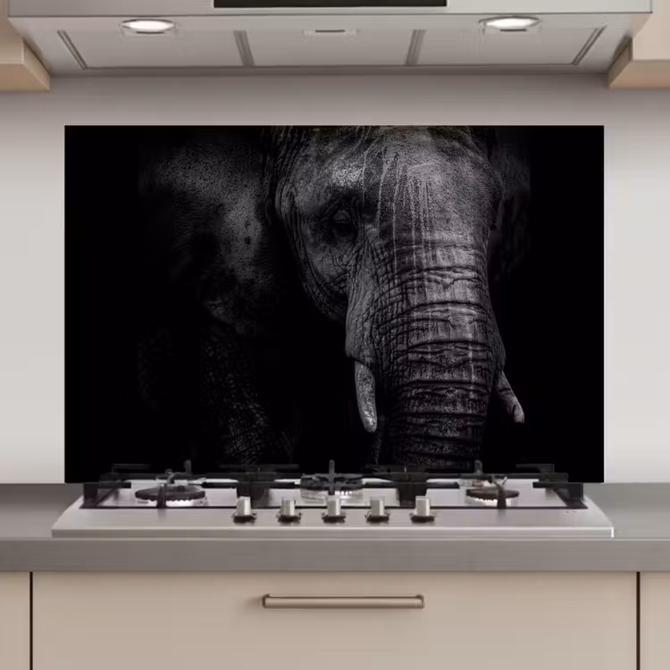 Spatscherm keuken - Olifant - Dier - Portret — 1