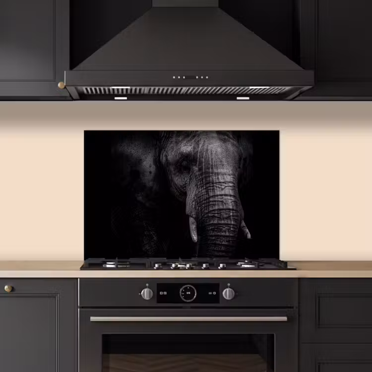 Spatscherm keuken - Olifant - Dier - Portret — 2