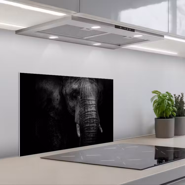 Spatscherm keuken - Olifant - Dier - Portret — 5