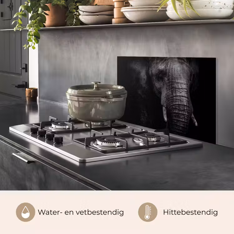 Spatscherm keuken - Olifant - Dier - Portret — 7