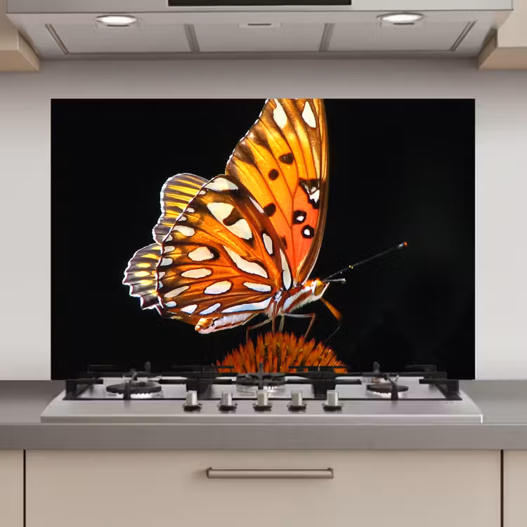 Spatscherm keuken - Vlinder - Bloemen - Insect - Portret - Zwart - Oranje — 1