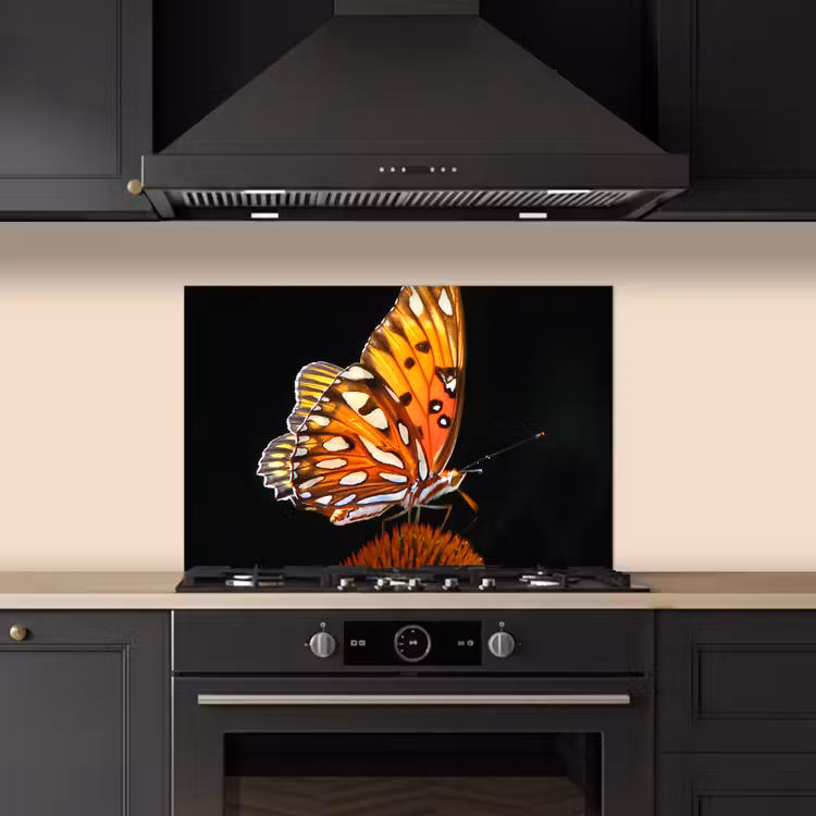 Spatscherm keuken - Vlinder - Bloemen - Insect - Portret - Zwart - Oranje — 2