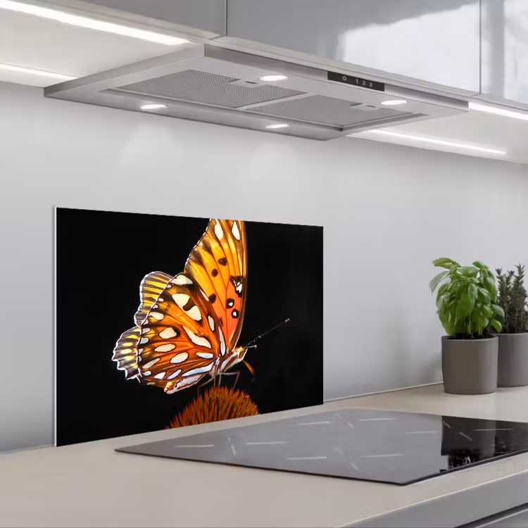 Spatscherm keuken - Vlinder - Bloemen - Insect - Portret - Zwart - Oranje — 5