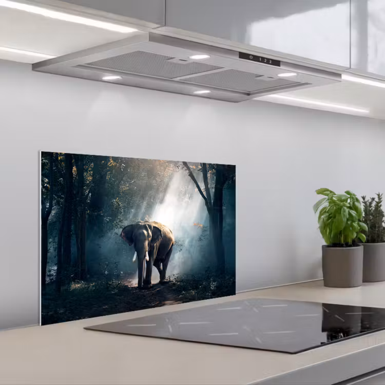 Spatscherm keuken - Olifant - Dieren - Licht - Bos - Natuur - Wilde dieren — 5