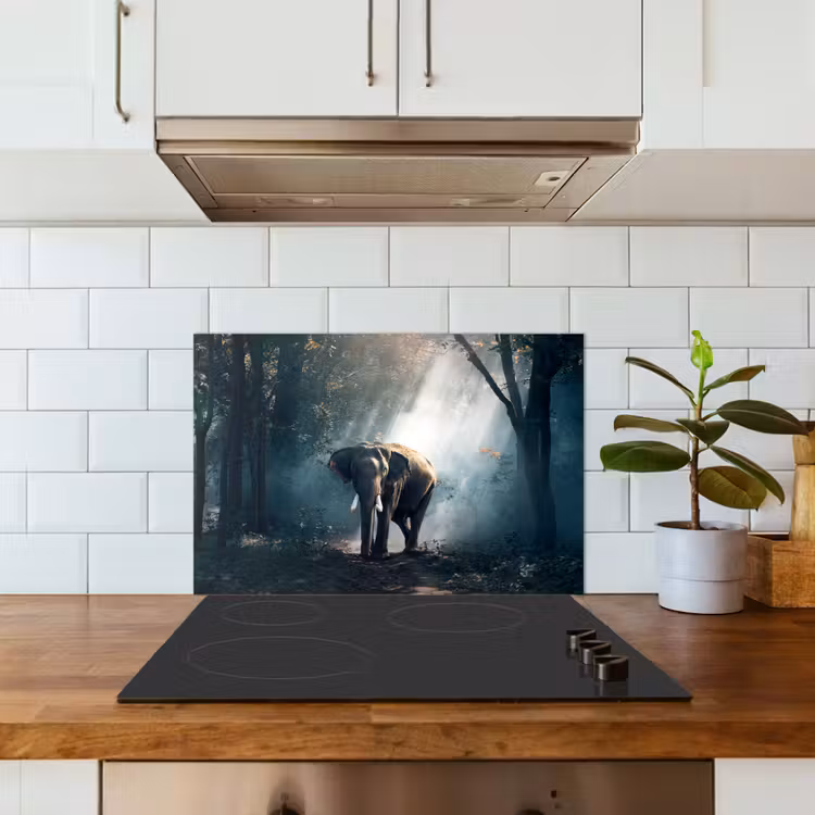 Spatscherm keuken - Olifant - Dieren - Licht - Bos - Natuur - Wilde dieren — 6