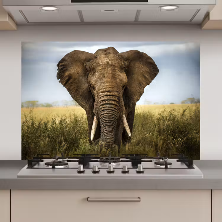 Spatscherm keuken - Olifant - Natuur - Gras - Dieren - Landschap — 1