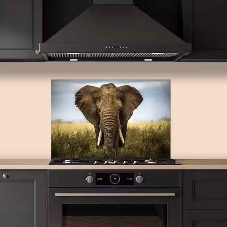 Spatscherm keuken - Olifant - Natuur - Gras - Dieren - Landschap — 2
