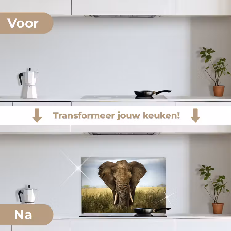 Spatscherm keuken - Olifant - Natuur - Gras - Dieren - Landschap — 3