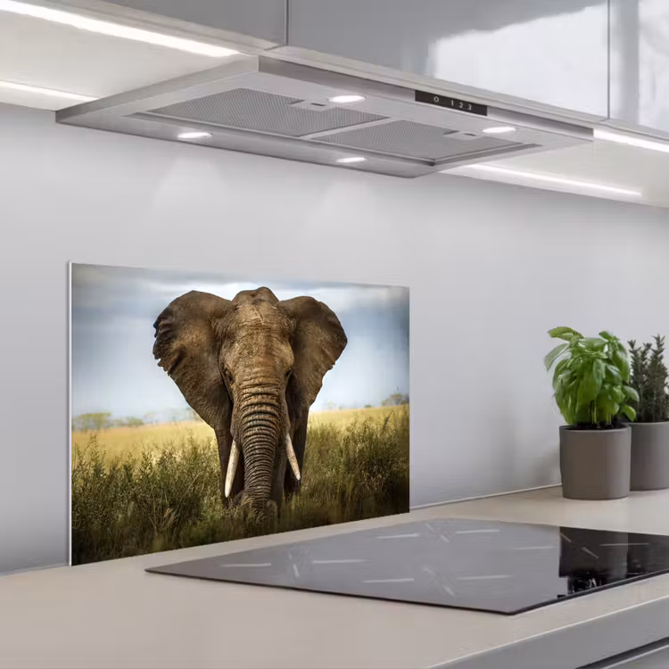 Spatscherm keuken - Olifant - Natuur - Gras - Dieren - Landschap — 5