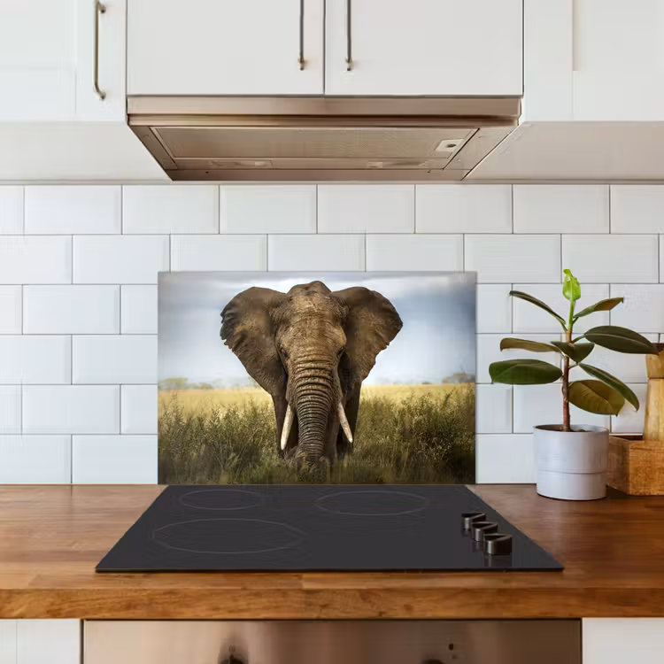 Spatscherm keuken - Olifant - Natuur - Gras - Dieren - Landschap — 6
