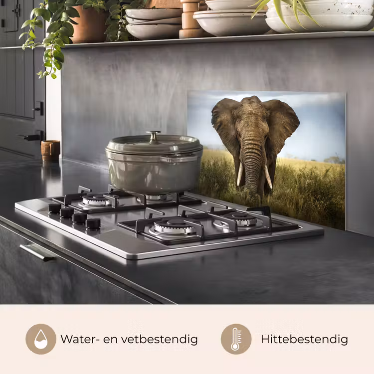 Spatscherm keuken - Olifant - Natuur - Gras - Dieren - Landschap — 7
