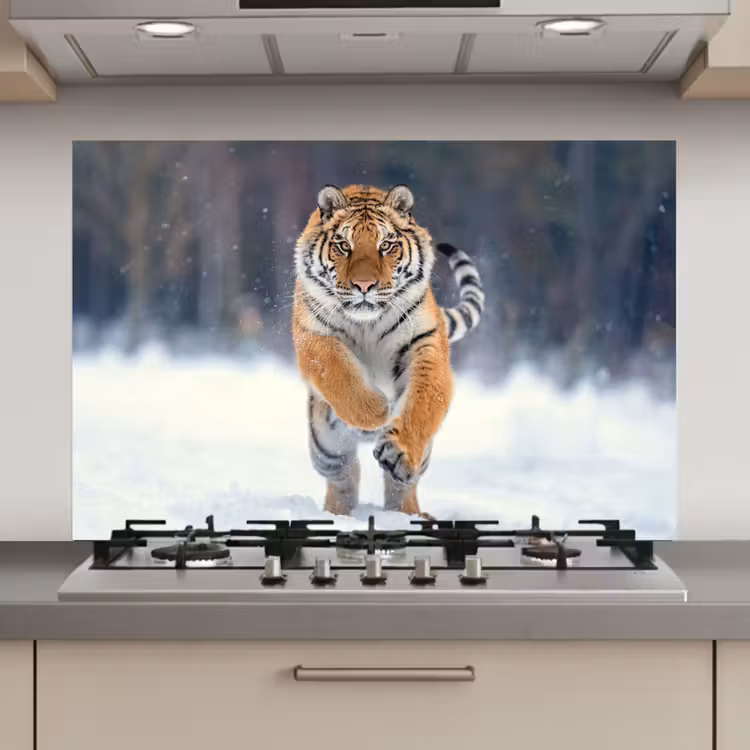 Spatscherm keuken - Tijger - Landschap - Sneeuw - Winter - Dieren — 1
