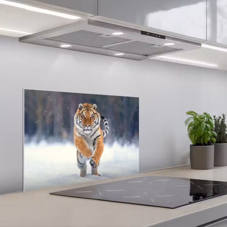 Spatscherm keuken - Tijger - Landschap - Sneeuw - Winter - Dieren — 5