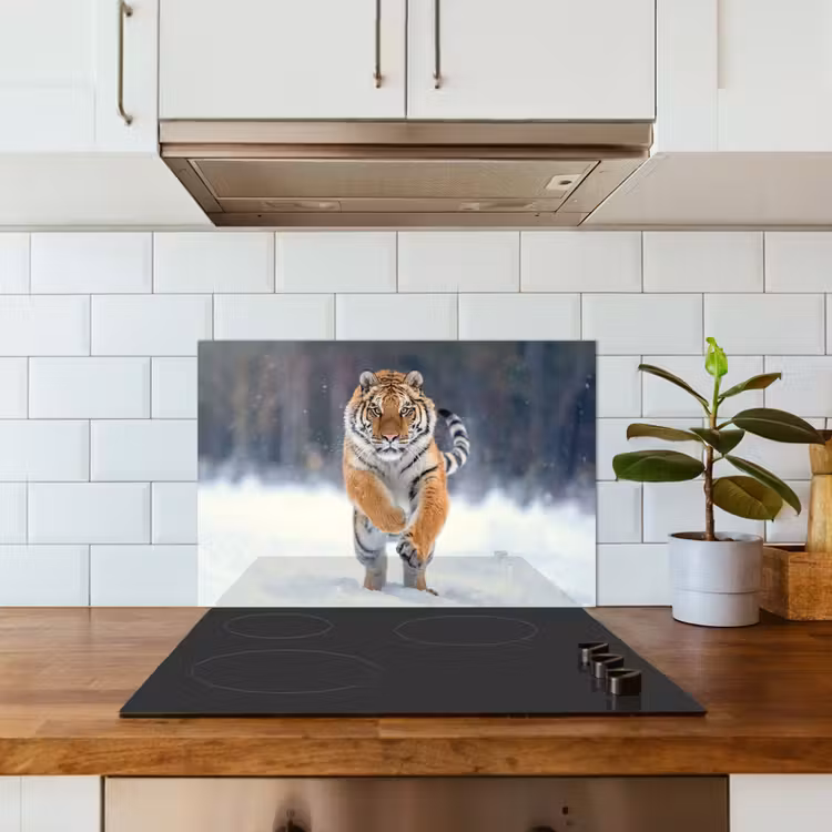 Spatscherm keuken - Tijger - Landschap - Sneeuw - Winter - Dieren — 6