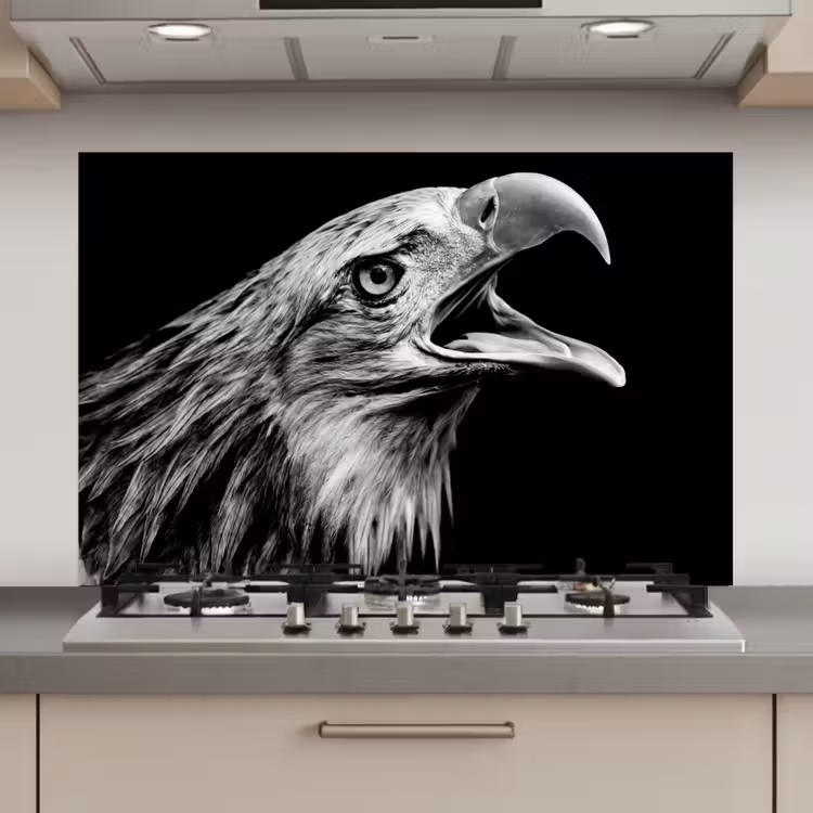 Spatscherm keuken - Adelaar - Portret - Roofvogels - Zwart - Wit - Vogel — 1