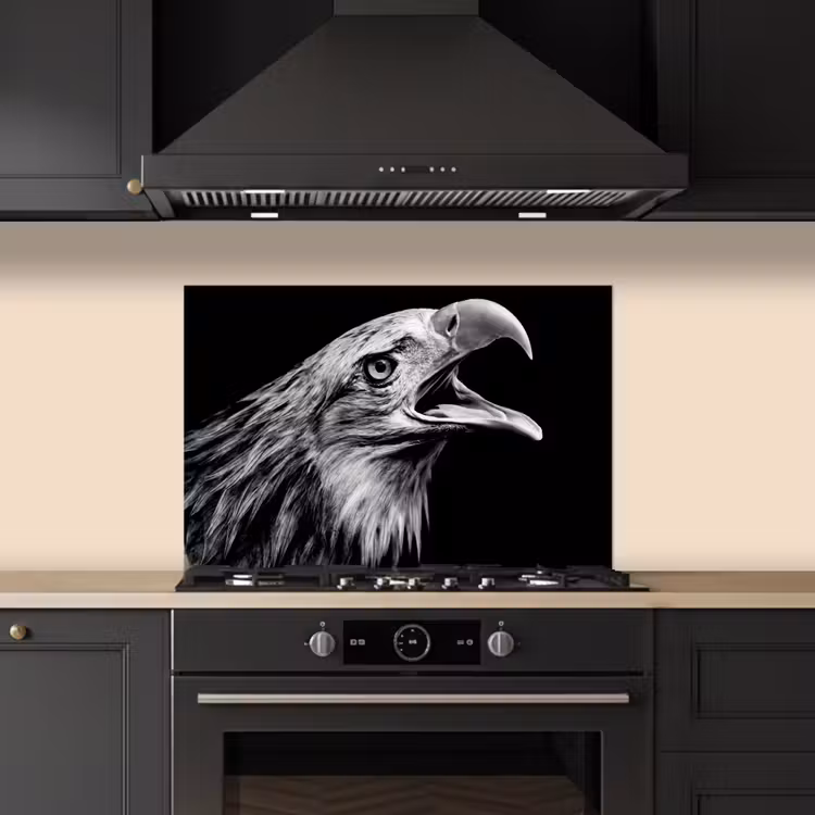 Spatscherm keuken - Adelaar - Portret - Roofvogels - Zwart - Wit - Vogel — 2