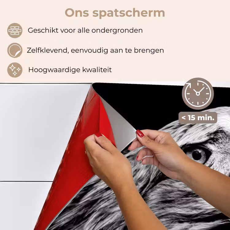 Spatscherm keuken - Adelaar - Portret - Roofvogels - Zwart - Wit - Vogel — 4