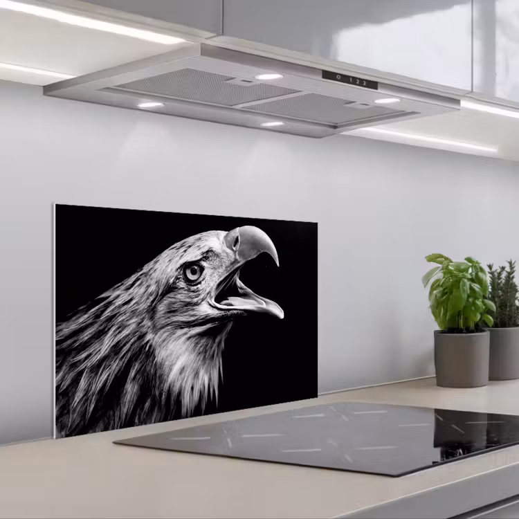 Spatscherm keuken - Adelaar - Portret - Roofvogels - Zwart - Wit - Vogel — 5