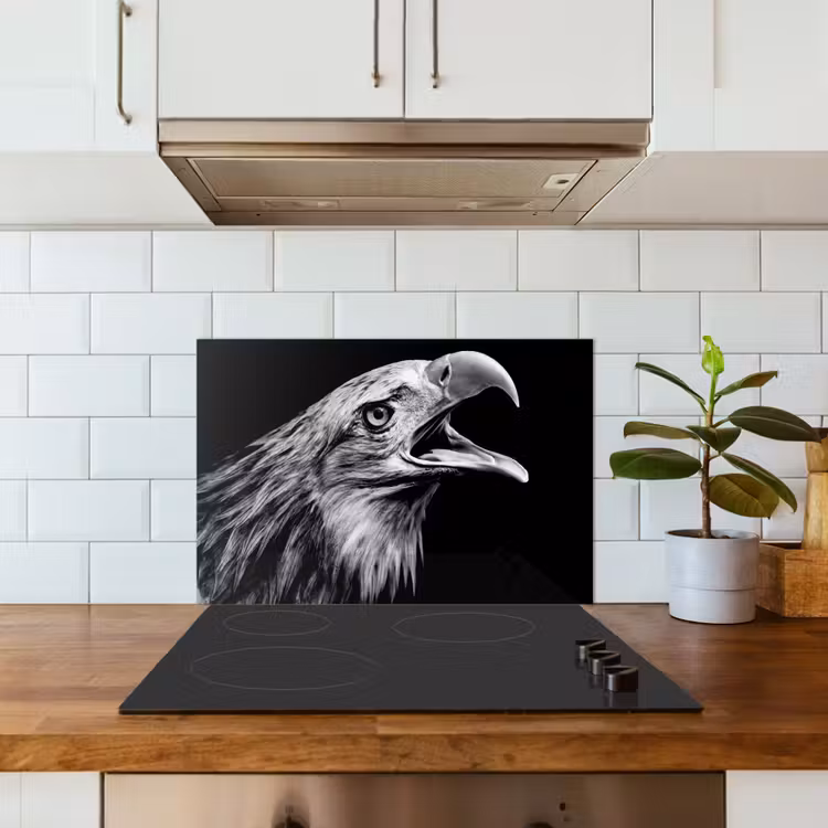 Spatscherm keuken - Adelaar - Portret - Roofvogels - Zwart - Wit - Vogel — 6