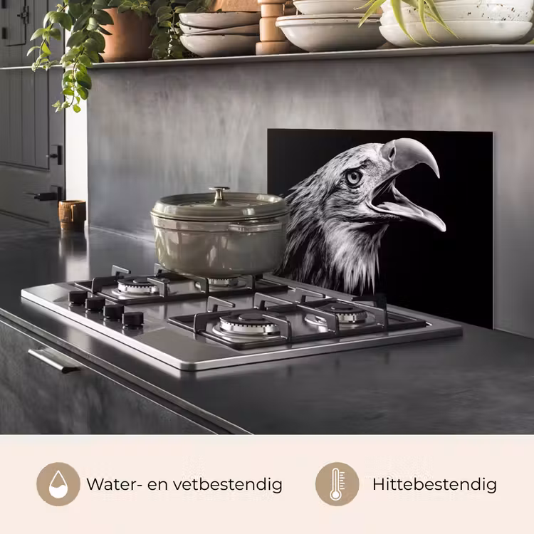 Spatscherm keuken - Adelaar - Portret - Roofvogels - Zwart - Wit - Vogel — 7