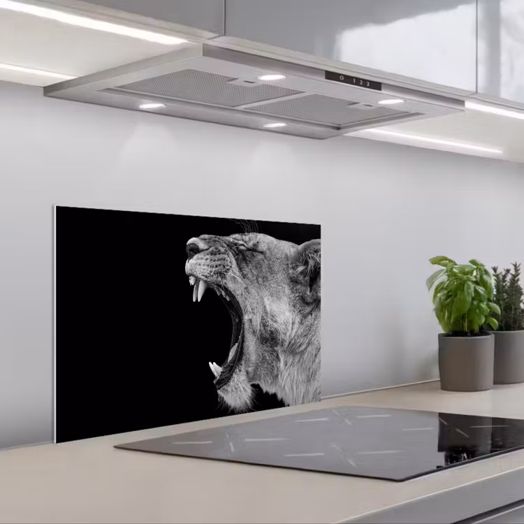 Spatscherm keuken - Dieren - Leeuw - Zwart - Wit - Portret — 5