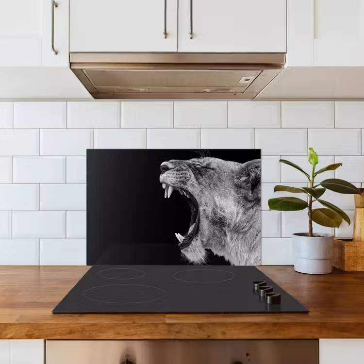 Spatscherm keuken - Dieren - Leeuw - Zwart - Wit - Portret — 6