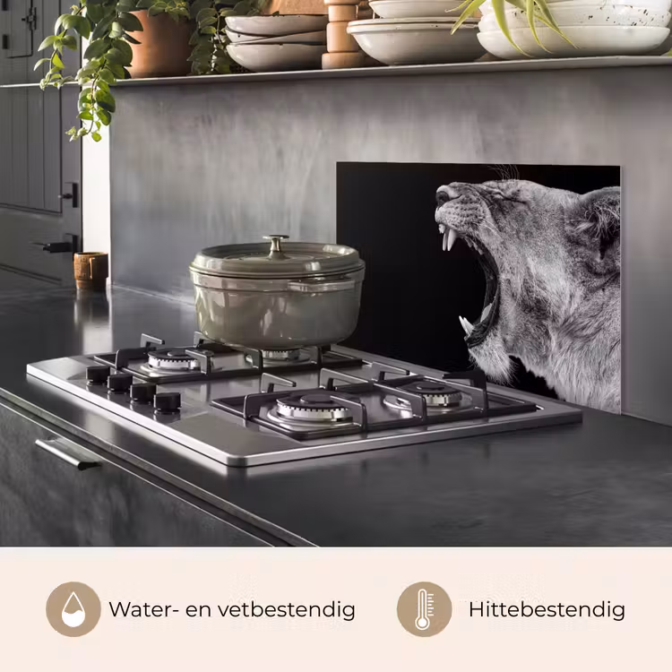 Spatscherm keuken - Dieren - Leeuw - Zwart - Wit - Portret — 7