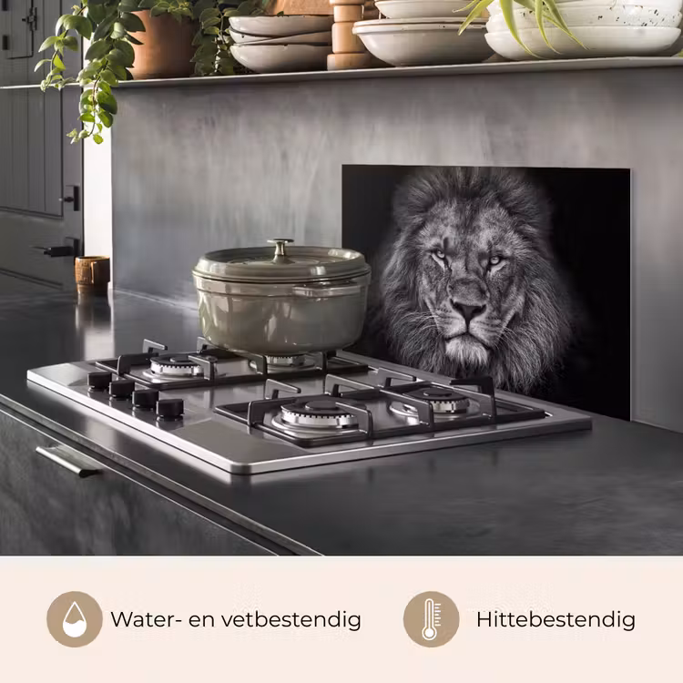 Spatscherm keuken - Leeuw - Dieren - Zwart - Wit — 7