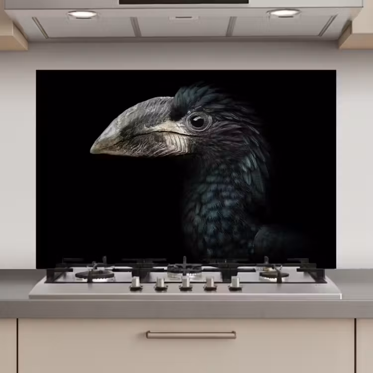 Spatscherm keuken - Vogel - Portret - Neushoornvogel - Zwart - Dieren — 1