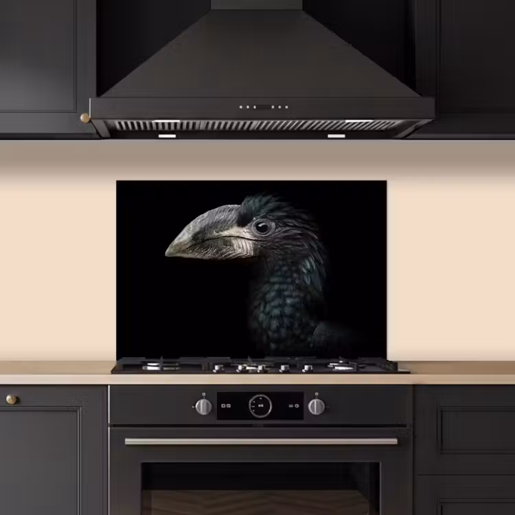 Spatscherm keuken - Vogel - Portret - Neushoornvogel - Zwart - Dieren — 2