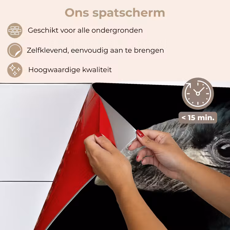 Spatscherm keuken - Vogel - Portret - Neushoornvogel - Zwart - Dieren — 4