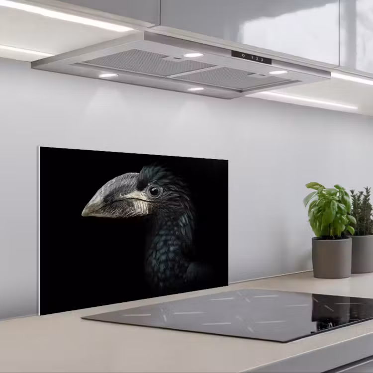 Spatscherm keuken - Vogel - Portret - Neushoornvogel - Zwart - Dieren — 5