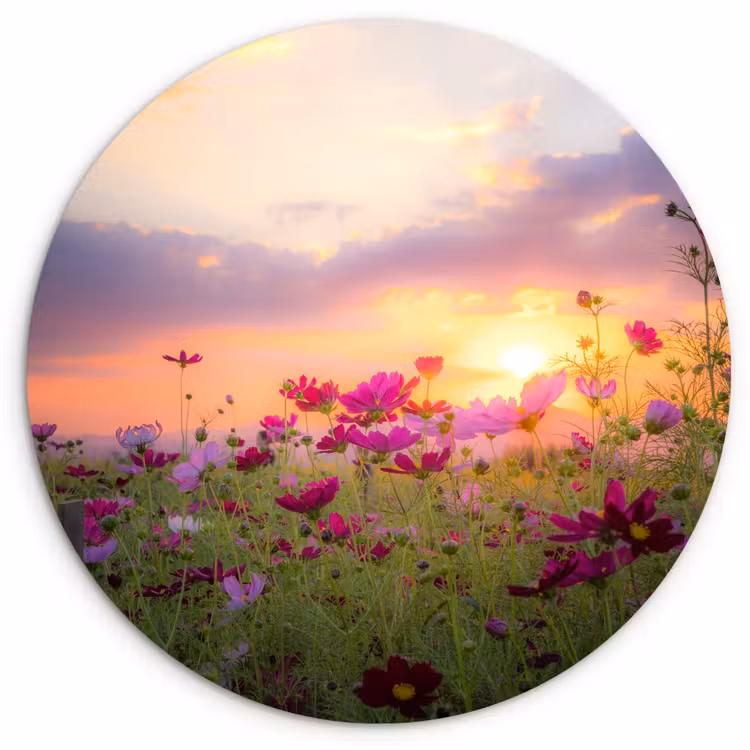 Muurcirkel - Zonsondergang - Bloemen - Roze - Natuur - Groen — 1