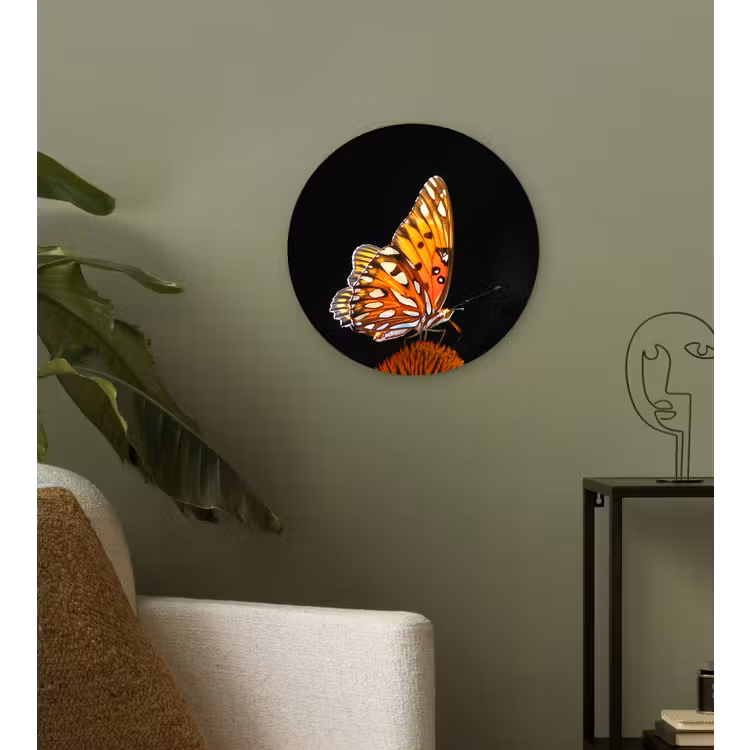 Muurcirkel - Vlinder - Bloemen - Insect - Portret - Zwart - Oranje — 3