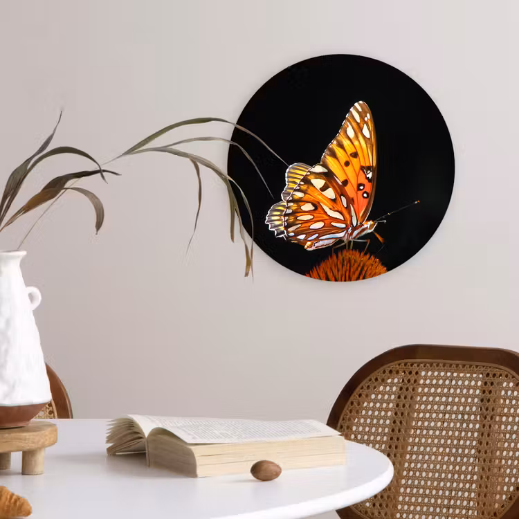 Muurcirkel - Vlinder - Bloemen - Insect - Portret - Zwart - Oranje — 4