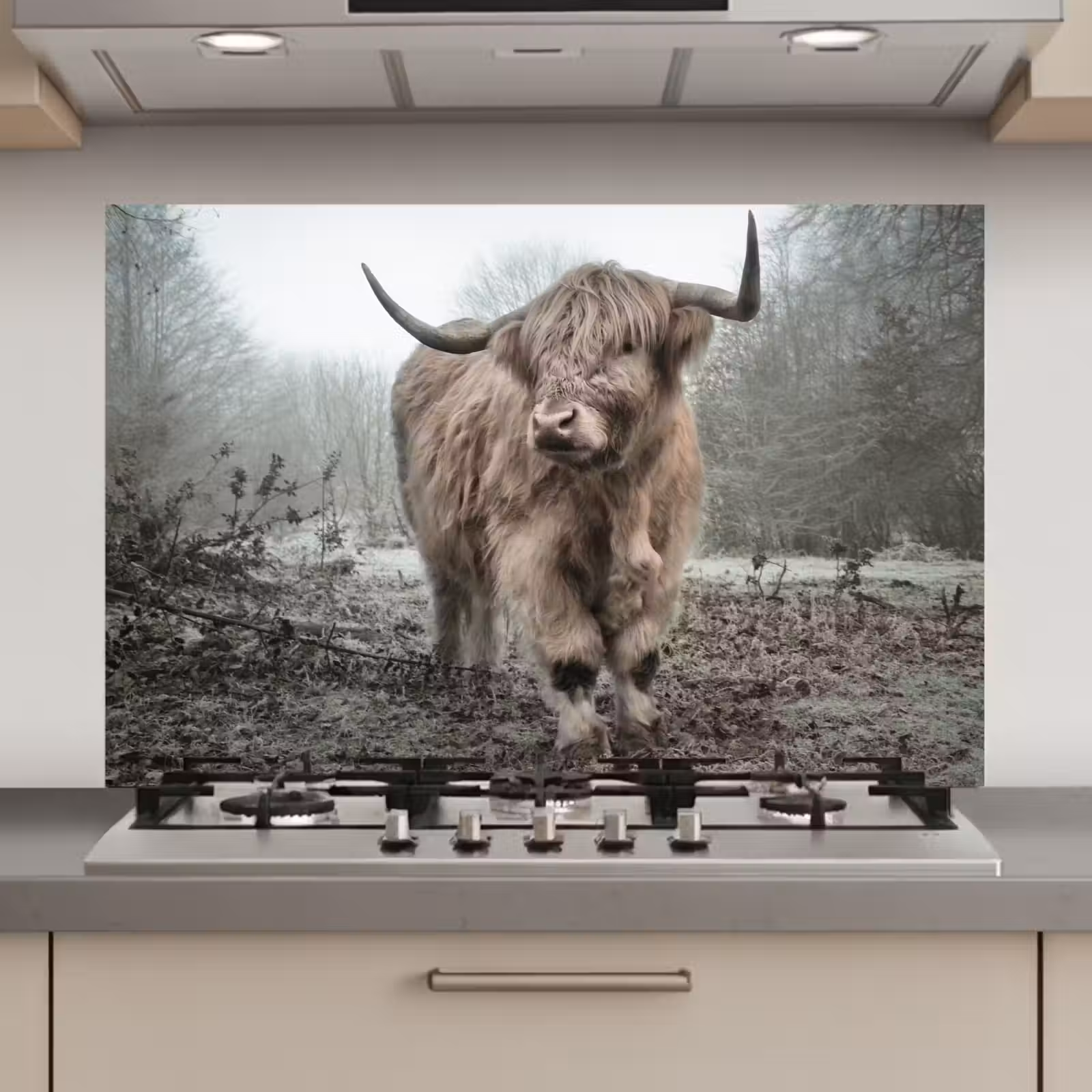 Spatscherm keuken - Schotse Hooglander - Bos - Mist - Koe - Dieren - Natuur — 1