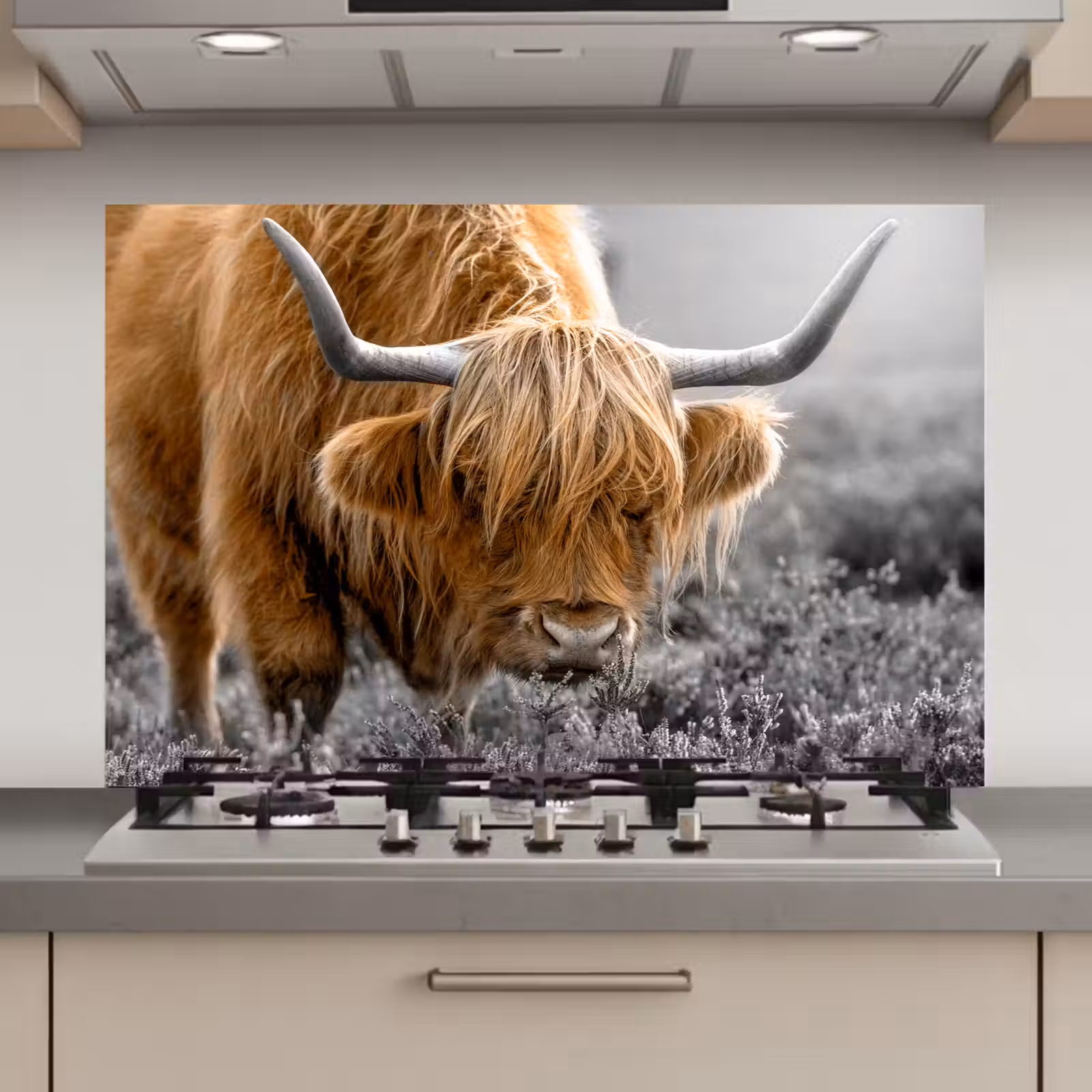 Spatscherm keuken - Schotse Hooglander - Dieren - Bruin - Koe - Zwart - Wit - Natuur — 1