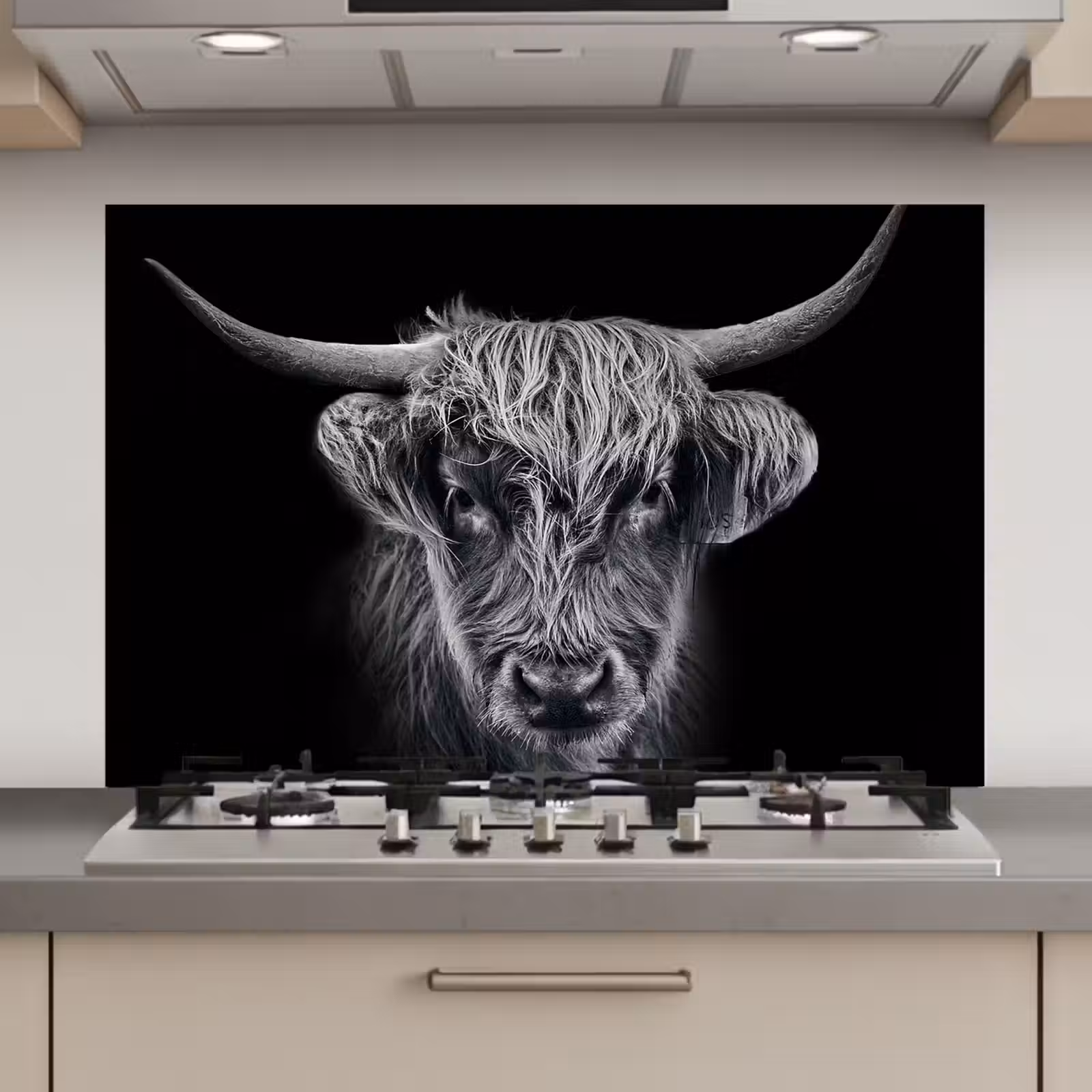 Spatscherm keuken - Schotse hooglander - Zwart - Koe - Dieren — 1