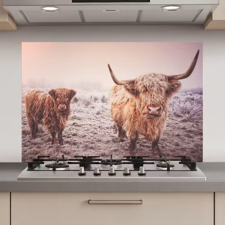Spatscherm keuken - Schotse Hooglanders - Sneeuw - Zon — 1