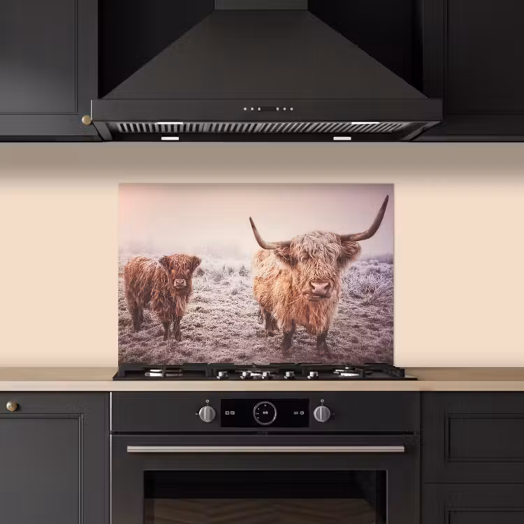 Spatscherm keuken - Schotse Hooglanders - Sneeuw - Zon — 2